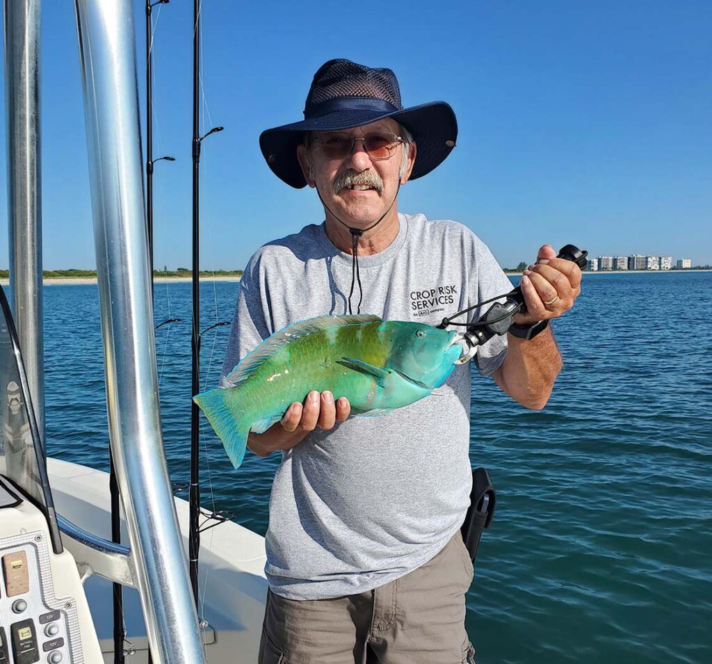 wrasse fish caught on ft pierce fishing charter